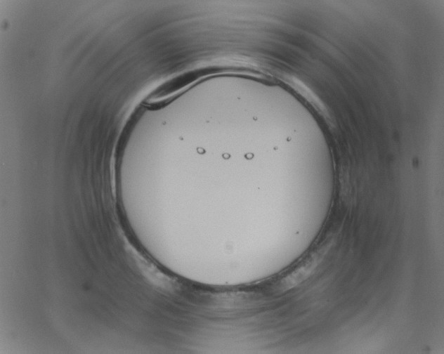 X0000067950988200604272055