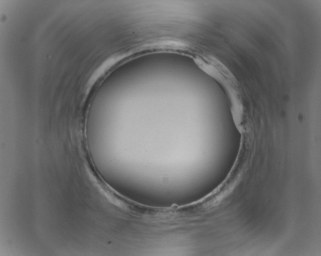 X0000067950989200604272055