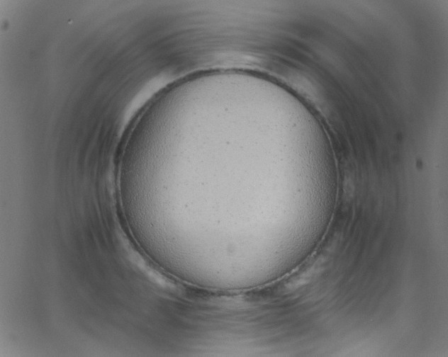 X0000067950990200604272055