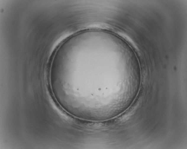 X0000067950991200604272055