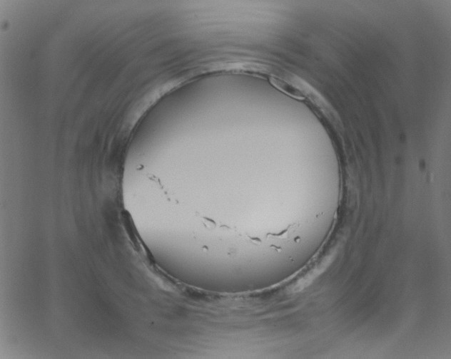 X0000067950993200604272055