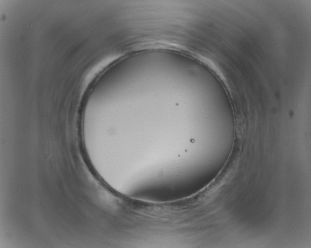 X0000067950995200604272055