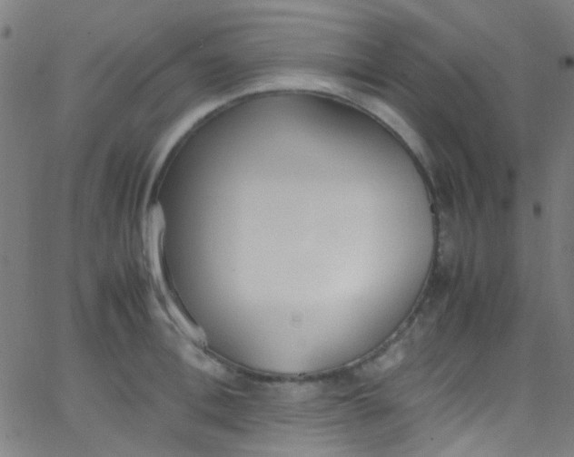 X0000067950996200604272055