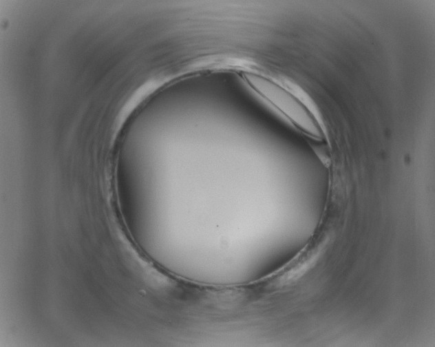 X0000067950997200604272055