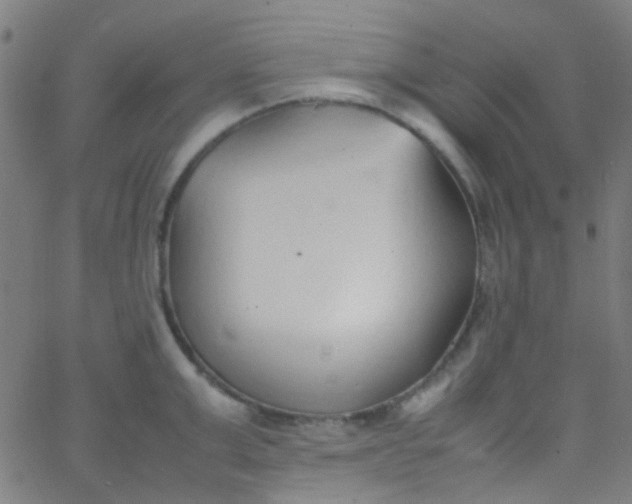 X0000067950999200604272055