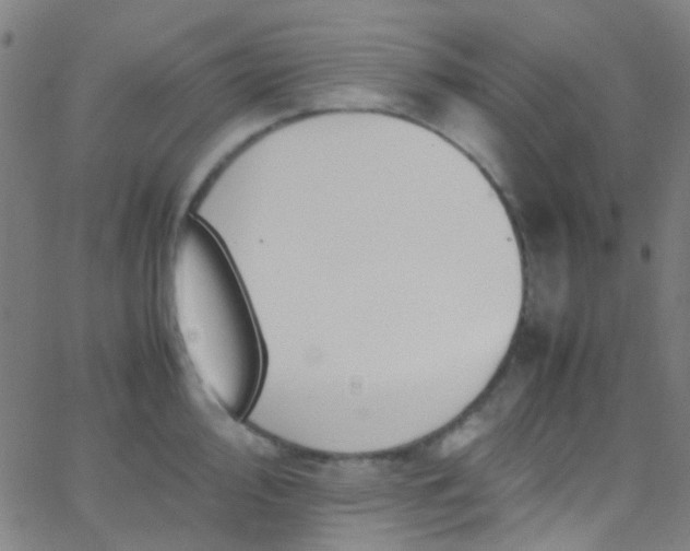 X0000067951000200604272055