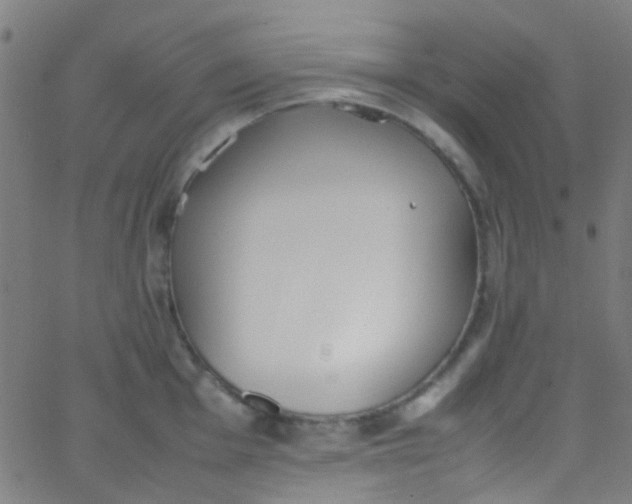 X0000067951001200604272055