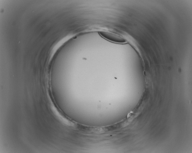 X0000067951003200604272055