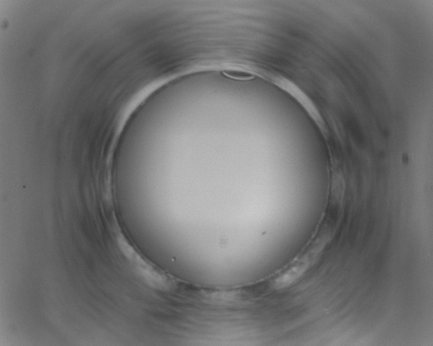 X0000067951004200604272055