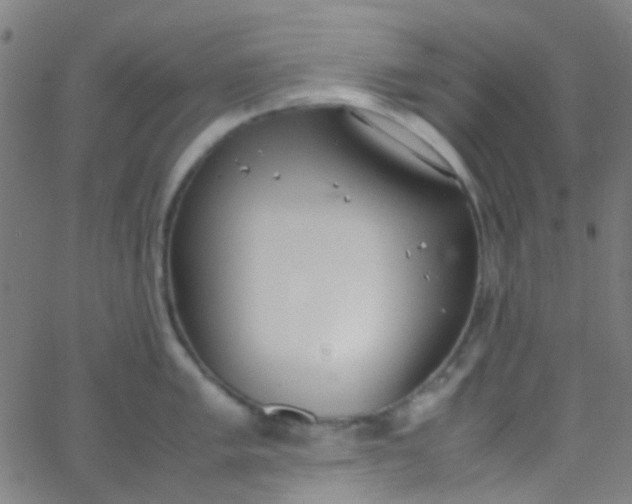 X0000067951005200604272054