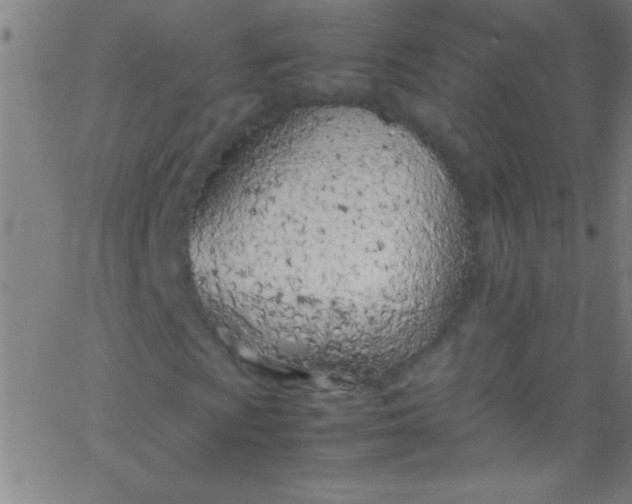 X0000067951009200604272054