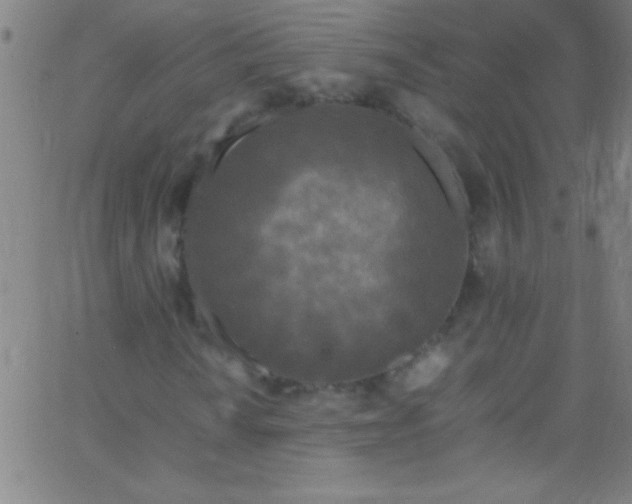 X0000067951010200604272054