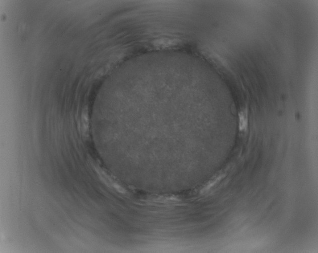 X0000067951011200604272054