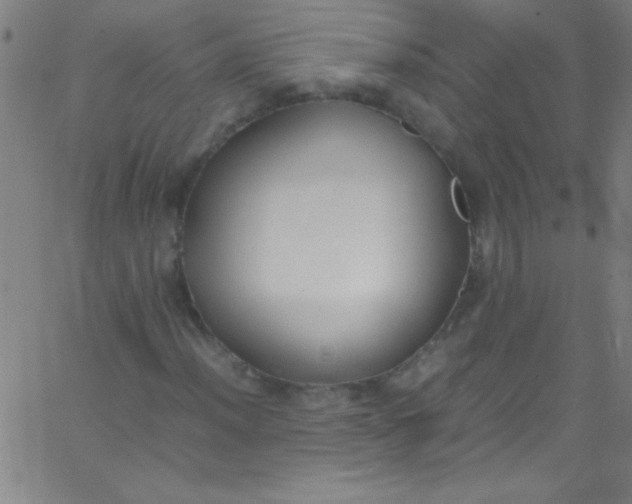 X0000067951012200604272054