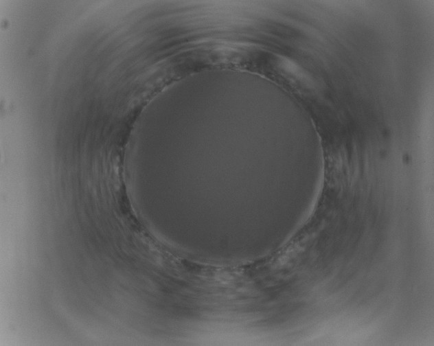 X0000067951013200604272054