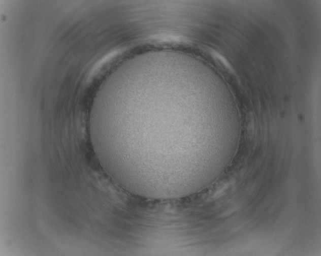 X0000067951016200604272054