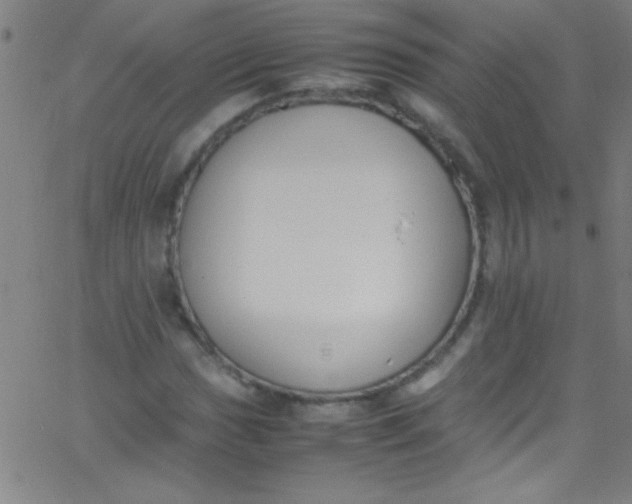 X0000067951017200604272054