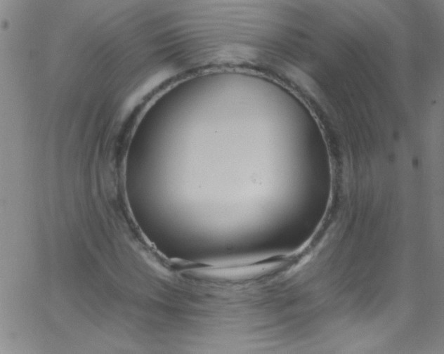 X0000067951018200604272054