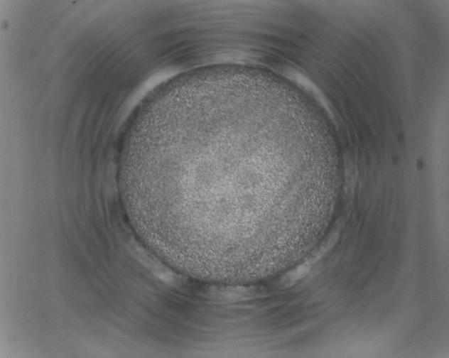 X0000067951019200604272054