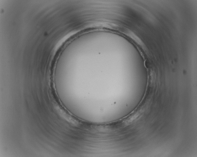 X0000067951020200604272054