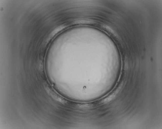 X0000067951025200604272054