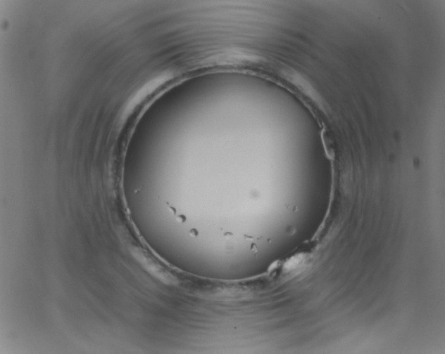 X0000067951026200604272054