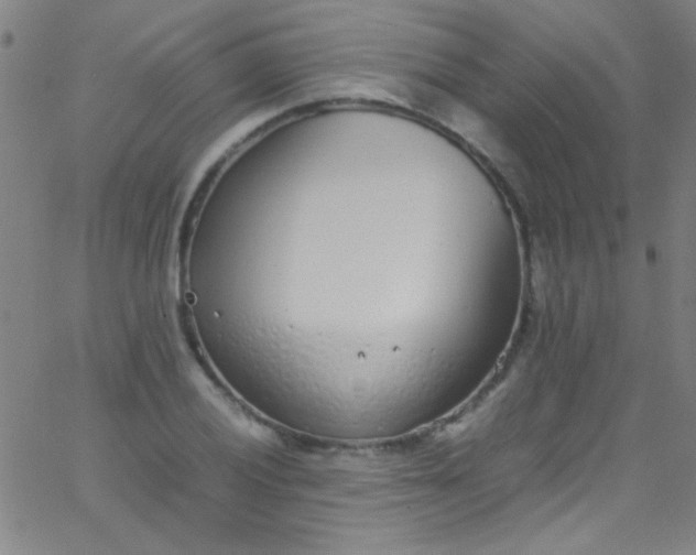 X0000067951028200604272054