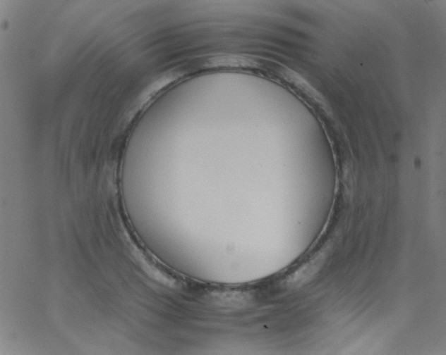 X0000067951033200604272054