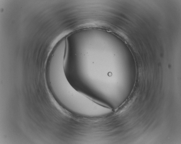 X0000067951034200604272054