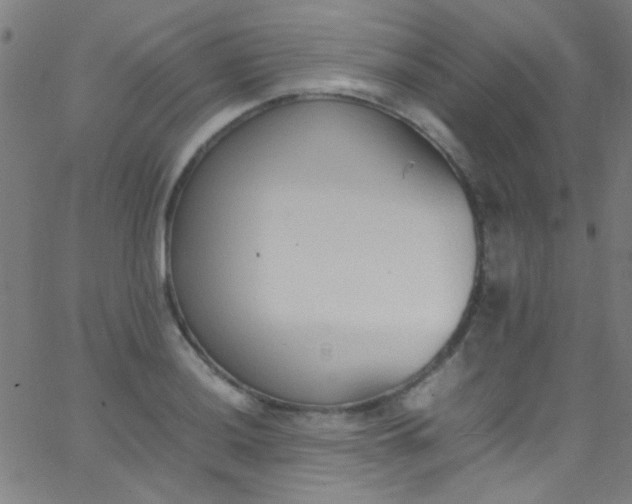 X0000067951036200604272054