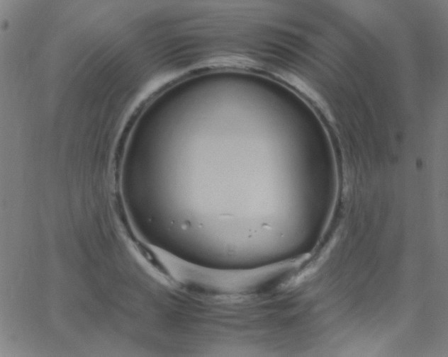 X0000067951037200604272054