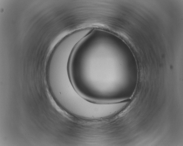 X0000067951038200604272054