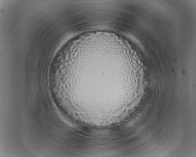 X0000067951039200604272054