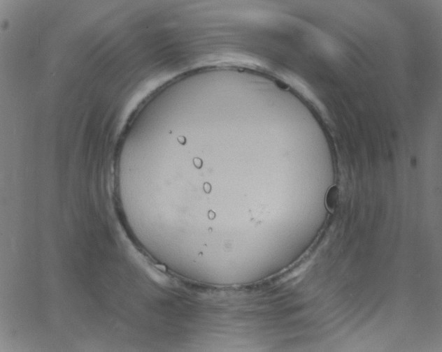 X0000067951040200604272054