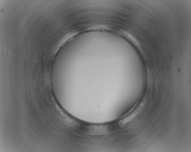 X0000067951041200604272054