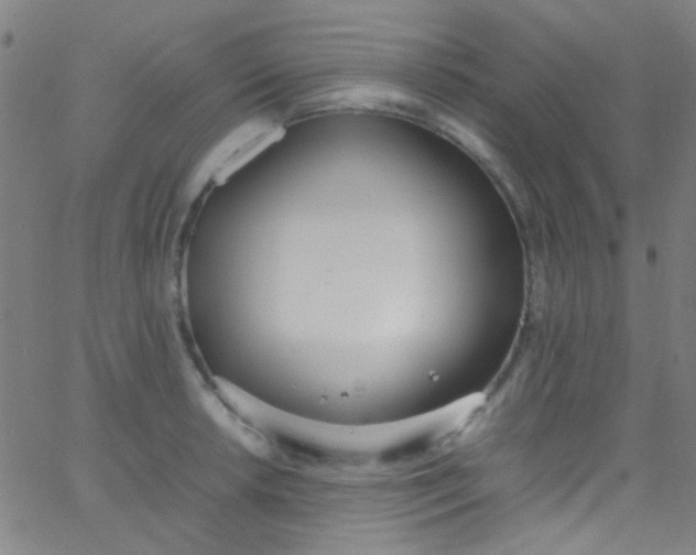 X0000067951042200604272054