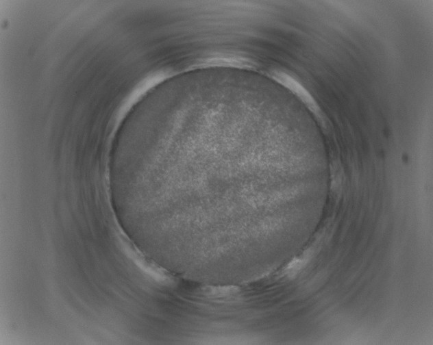 X0000067951043200604272054