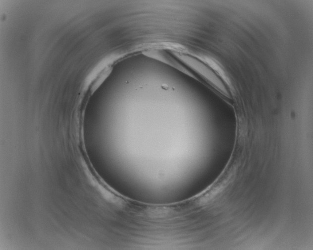 X0000067951046200604272054