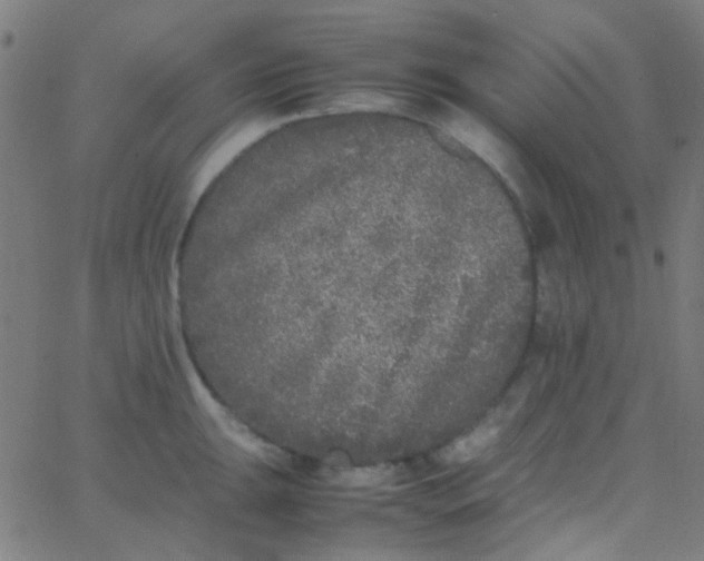 X0000067951047200604272054