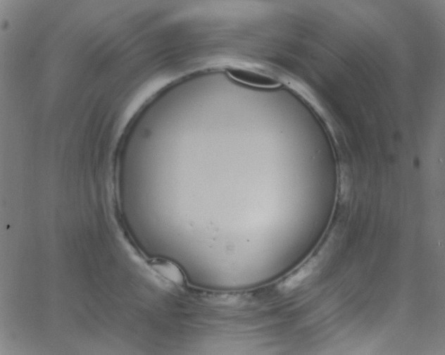 X0000067951048200604272054