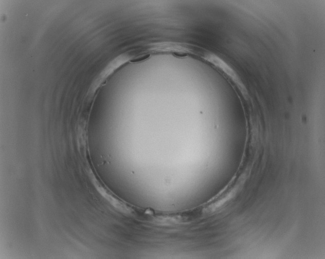 X0000067951049200604272054