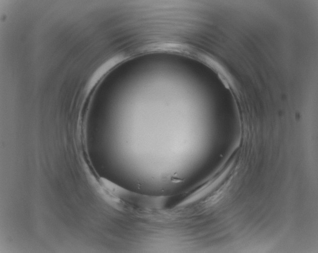 X0000067951050200604272054