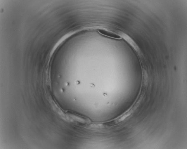 X0000067951052200604272054