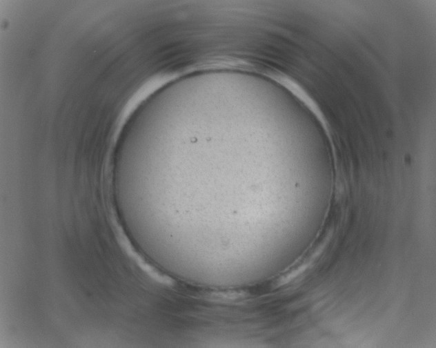 X0000067951053200604272054