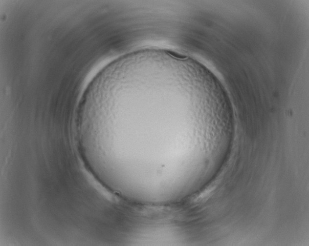 X0000067951056200604272054