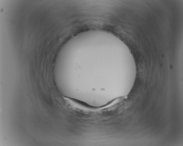 X0000067951057200604272054