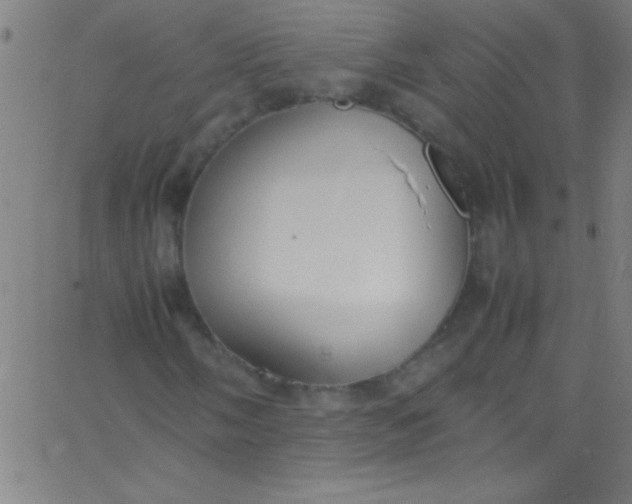 X0000067951058200604272054