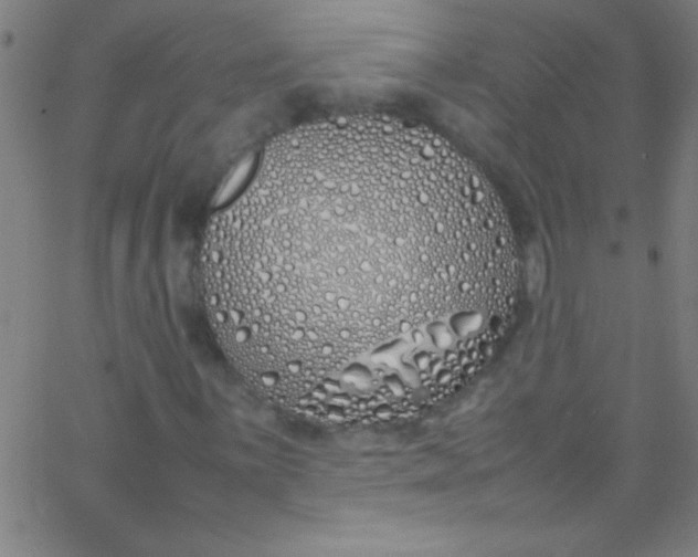 X0000067951059200604272054