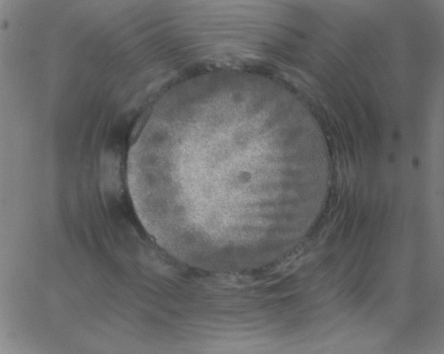 X0000067951060200604272054