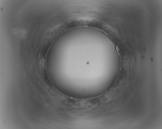 X0000067951061200604272054